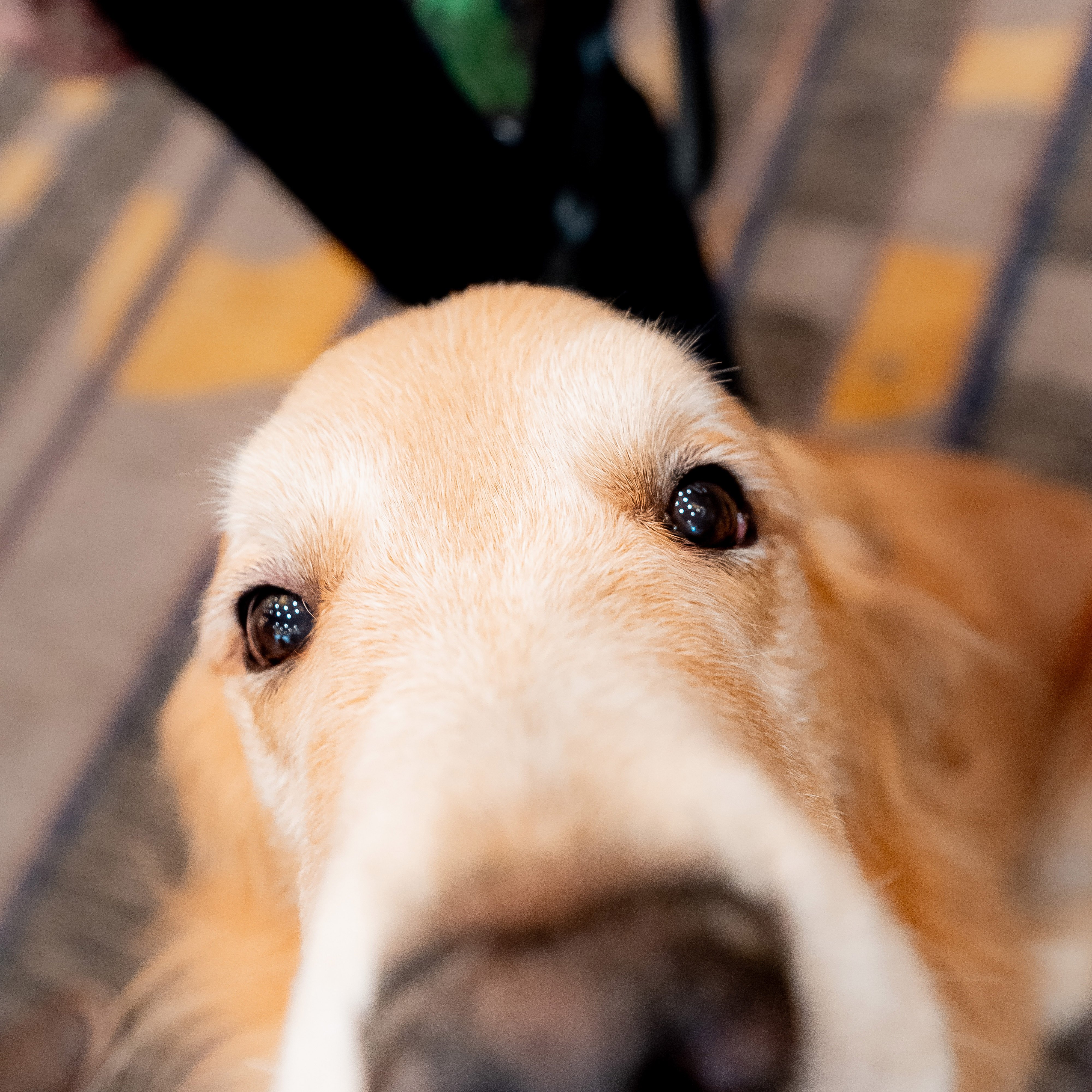 CalumMcGeePhoto -02622