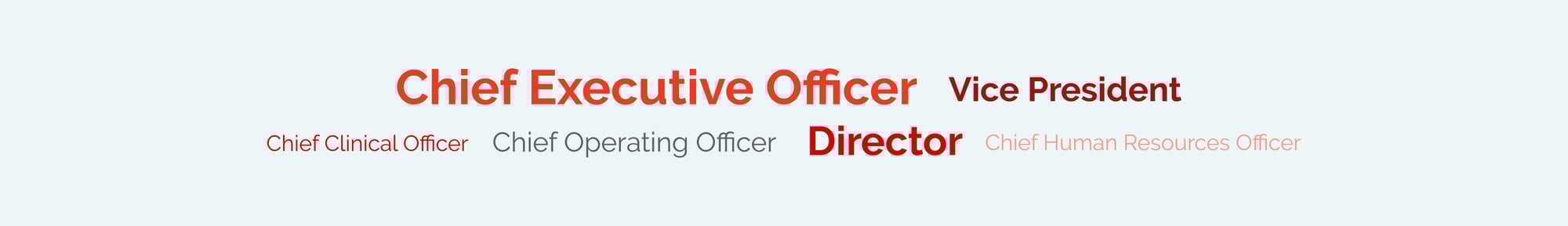 DSO Attendees Job Titles Graphic-1