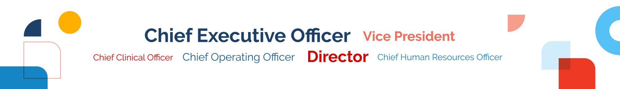 DSO Attendees Job Titles Graphic-2