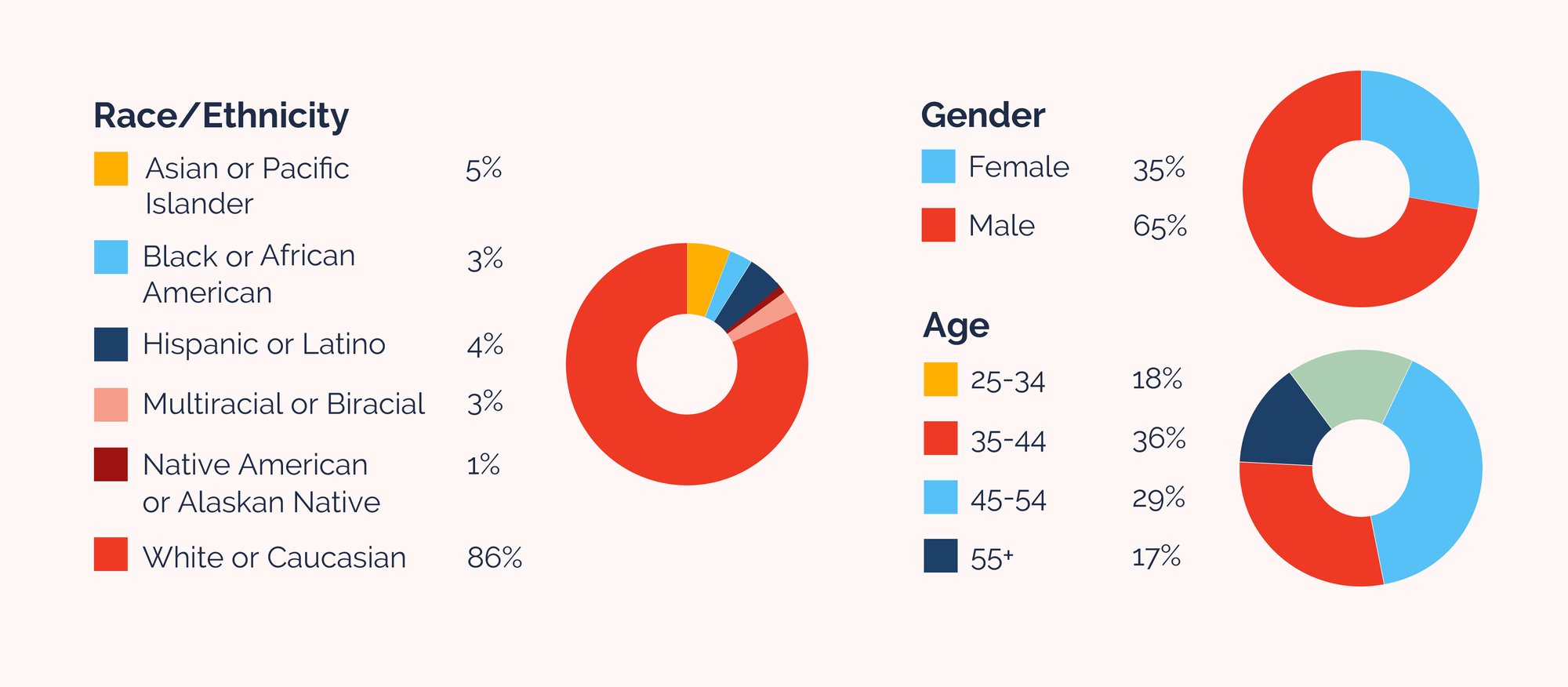 Race Gender Age Pie Charts Graphic-1