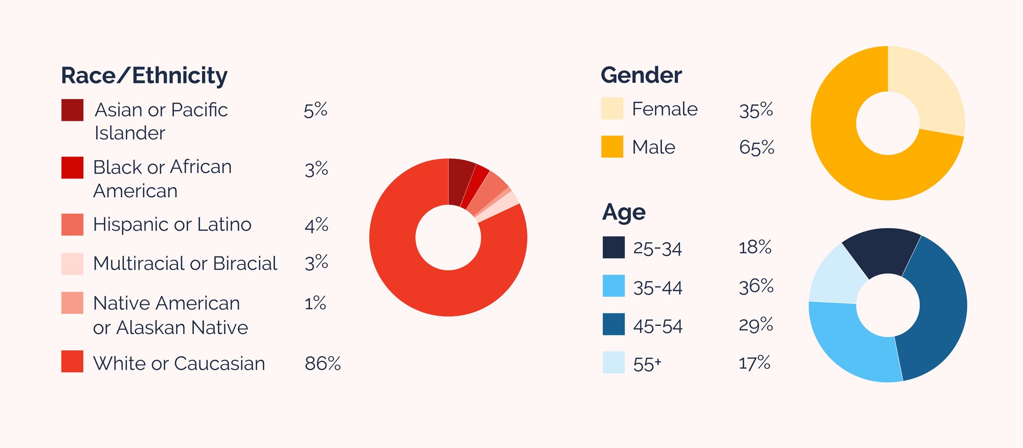 Race Gender Age Pie Charts Graphic-2